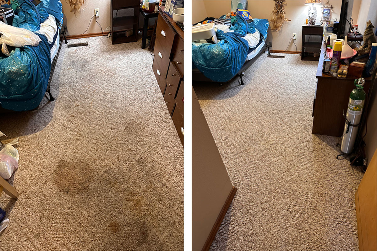 a bedroom carpet that has been cleaned