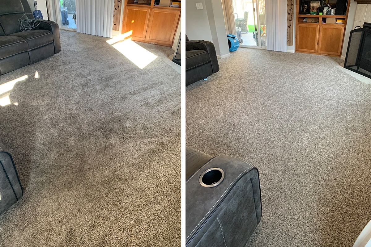 a living room carpet that has been cleaned